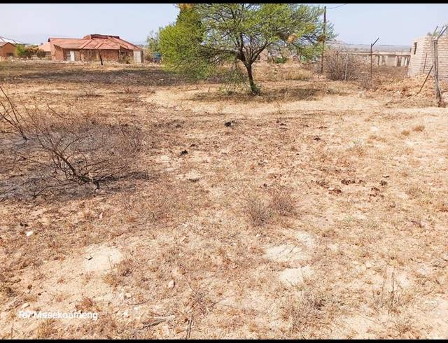 LAND FOR SALE IN MANKWENG